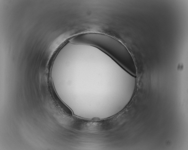 X0000110920152200907091506