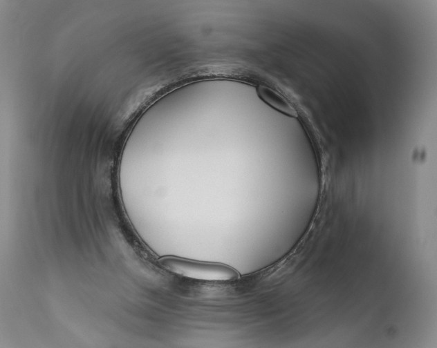 X0000110920154200907091506