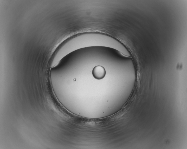 X0000110920156200907091506