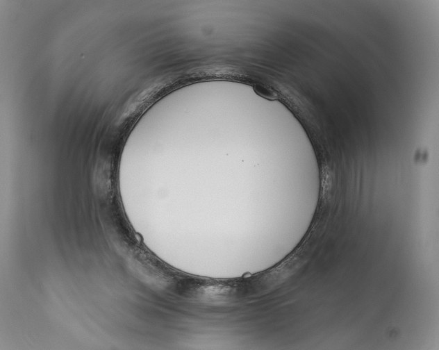 X0000110920158200907091506