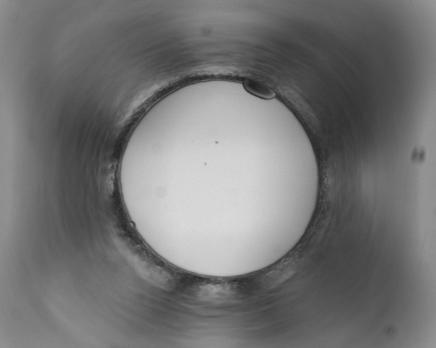 X0000110920160200907091506