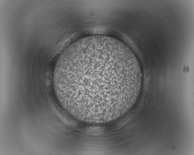 X0000110920161200907091506