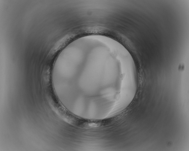 X0000110920163200907091506