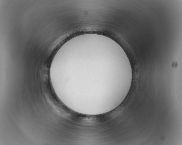 X0000110920164200907091506
