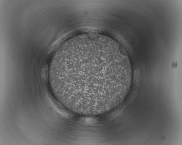 X0000110920165200907091506
