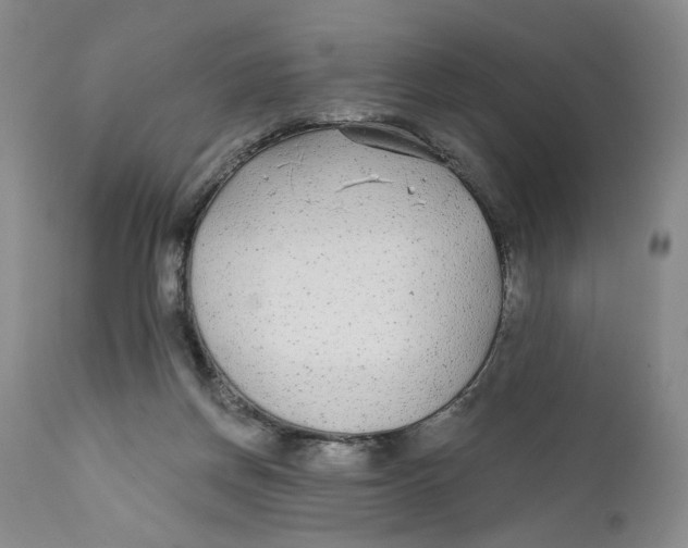 X0000110920166200907091506