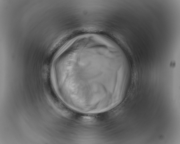 X0000110920167200907091506