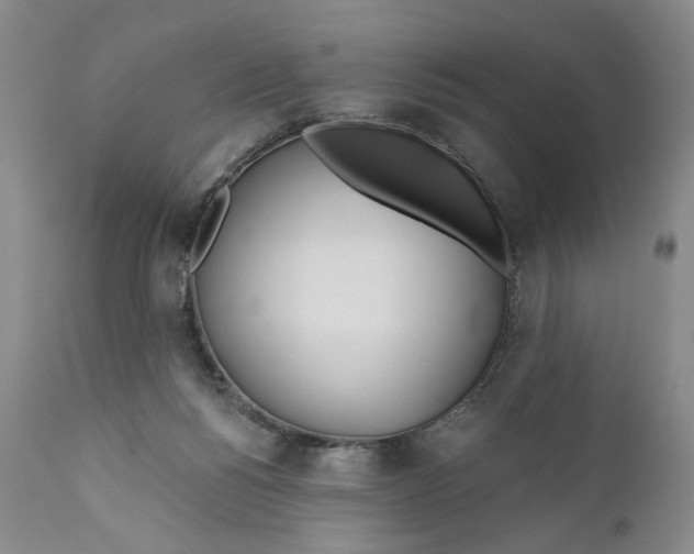X0000110920168200907091506
