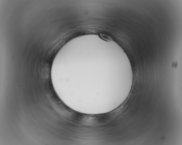 X0000110920174200907091506
