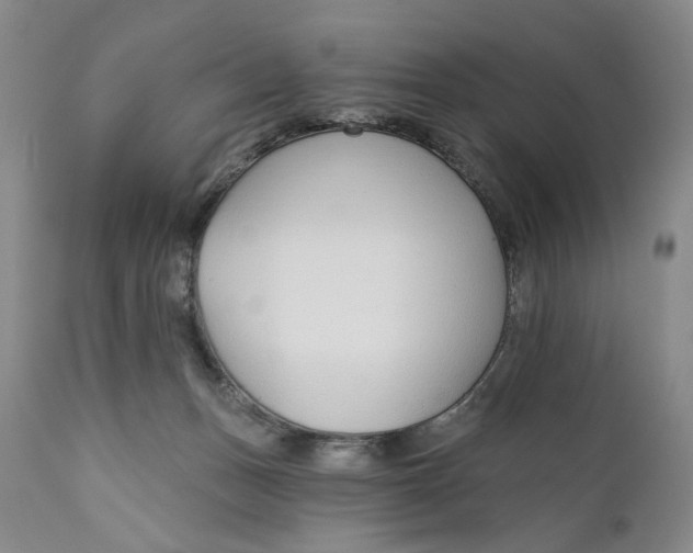 X0000110920175200907091506