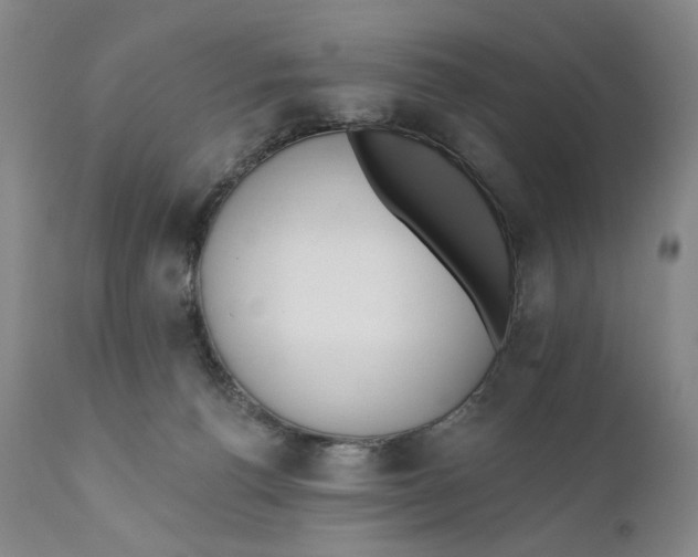 X0000110920176200907091506