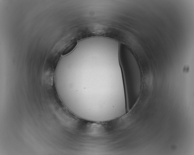 X0000110920180200907091506