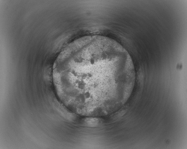 X0000110920181200907091506