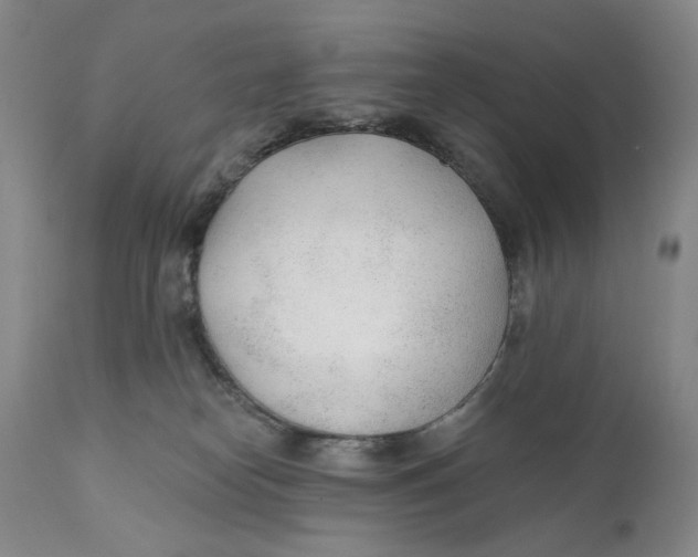 X0000110920182200907091506