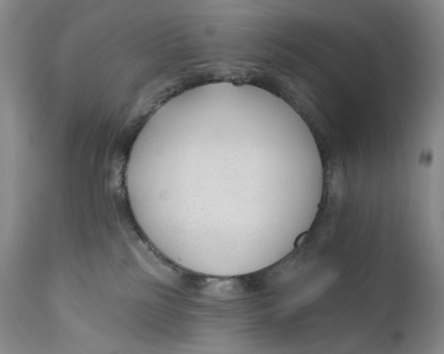 X0000110920185200907091506