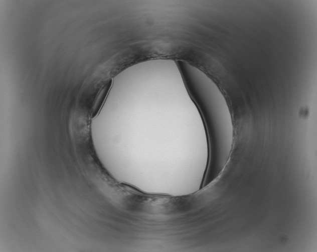 X0000110920186200907091506