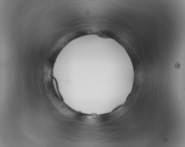 X0000110920188200907091506