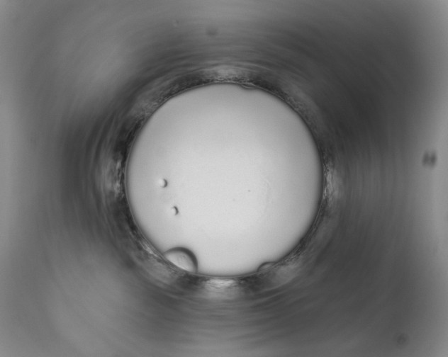 X0000110920189200907091506