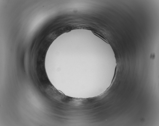 X0000110920190200907091506