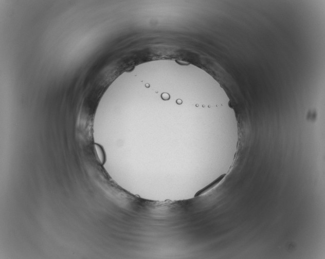 X0000110920191200907091506