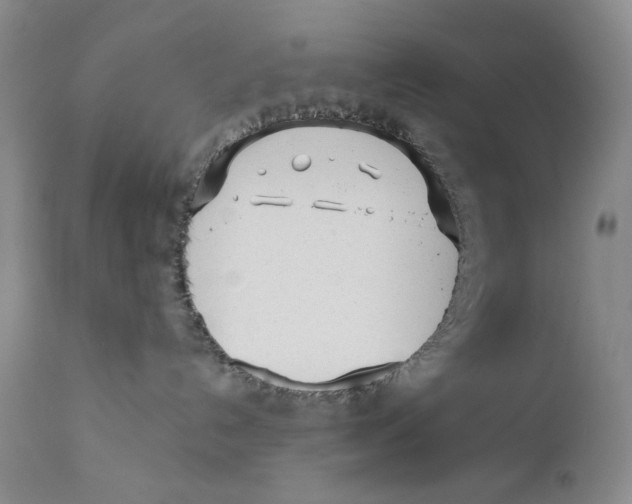 X0000110920192200907091506