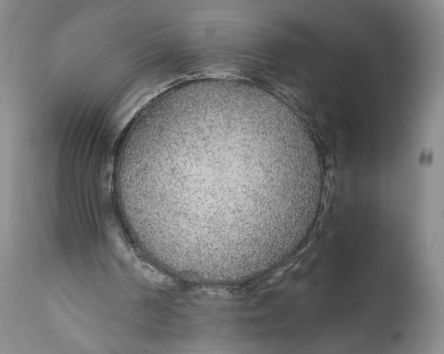 X0000110920194200907091506