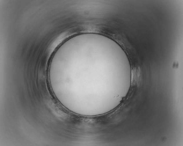 X0000110920195200907091506