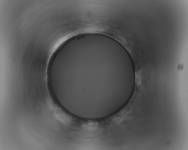 X0000110920196200907091506