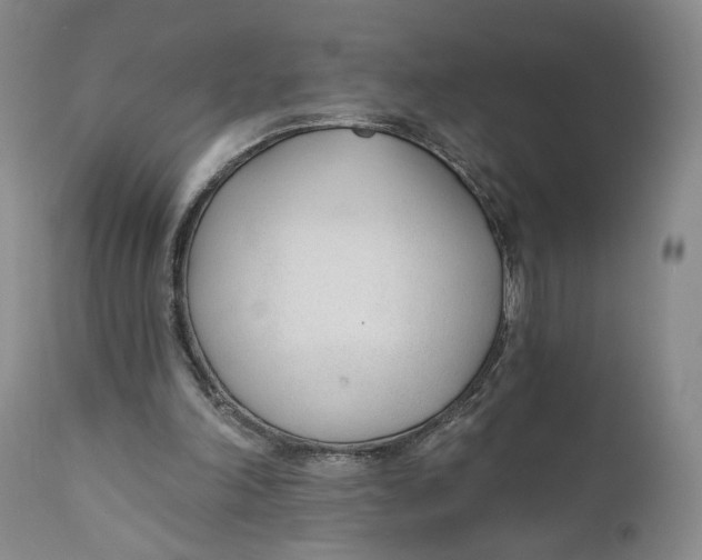 X0000110920198200907091506
