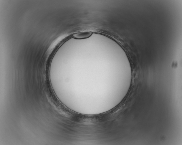 X0000110920200200907091505