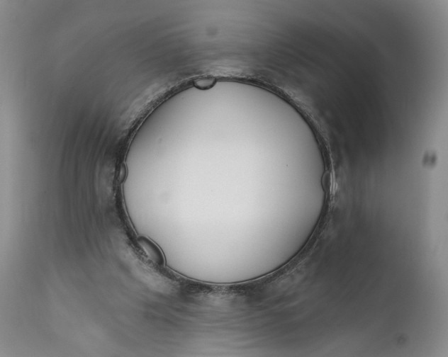 X0000110920201200907091505