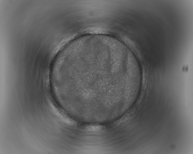 X0000110920202200907091505