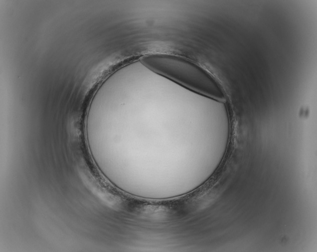 X0000110920203200907091505