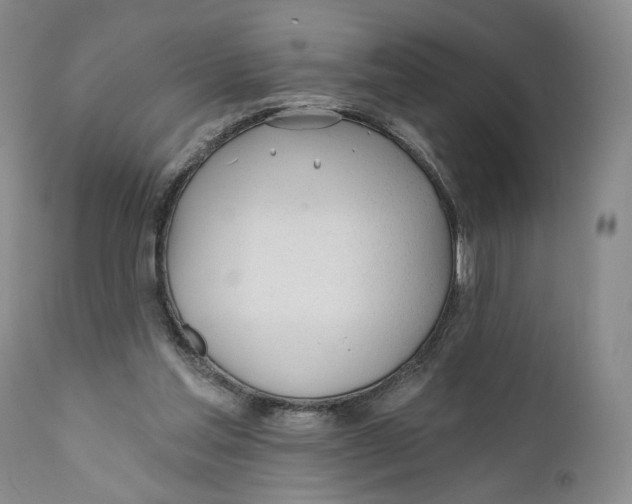 X0000110920205200907091505