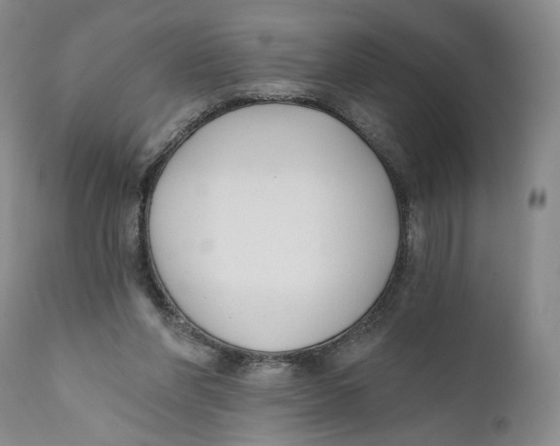 X0000110920206200907091505