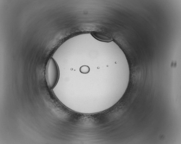 X0000110920207200907091505