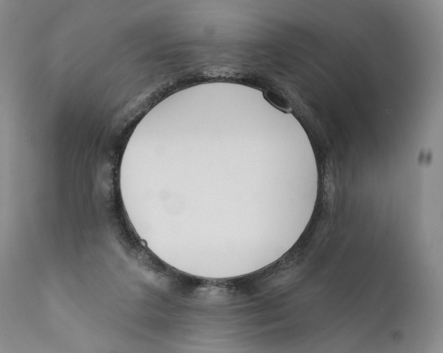 X0000110920211200907091505