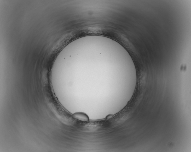X0000110920213200907091505