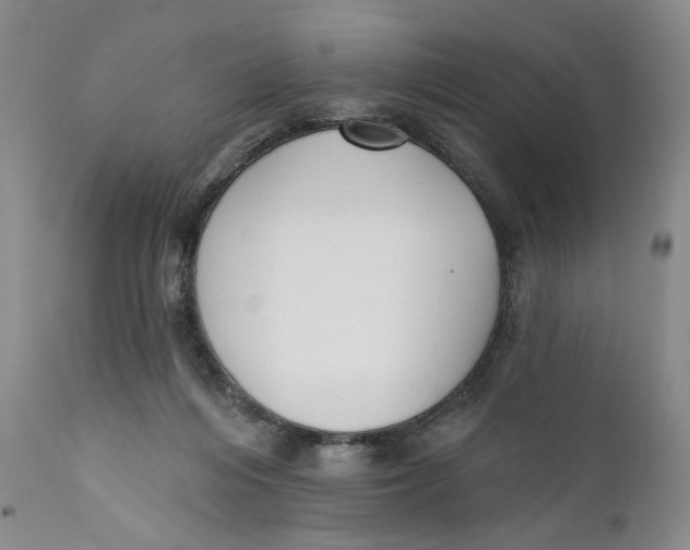 X0000110920216200907091505