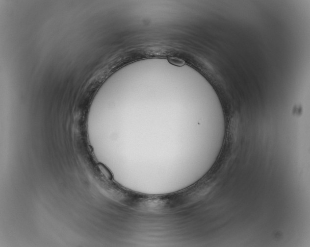 X0000110920217200907091505