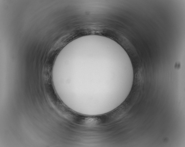 X0000110920218200907091505