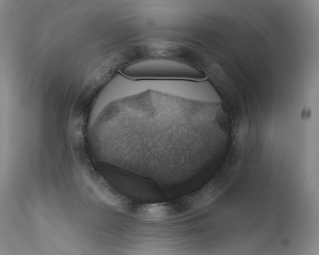 X0000110920219200907091505