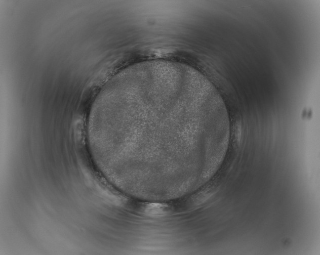 X0000110920222200907091505