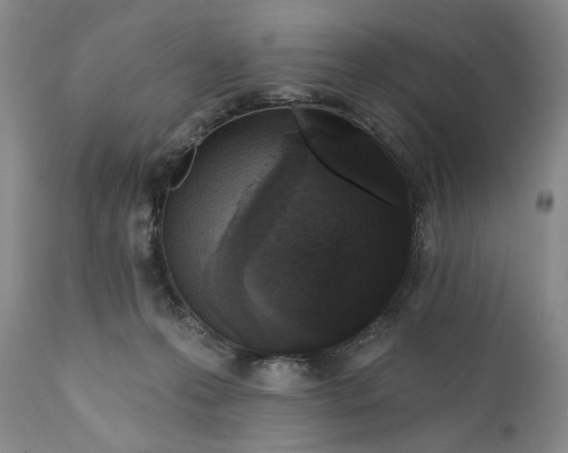 X0000110920223200907091505