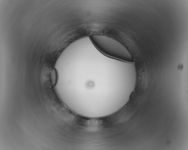 X0000110920225200907091505