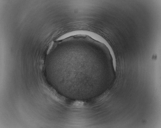 X0000110920227200907091505