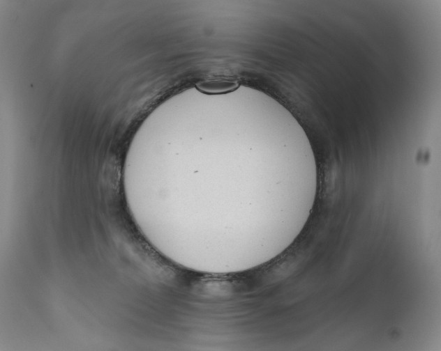 X0000110920228200907091505