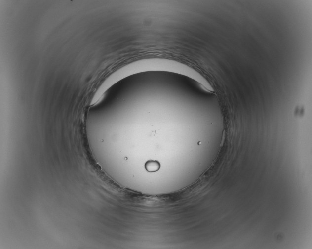 X0000110920229200907091505