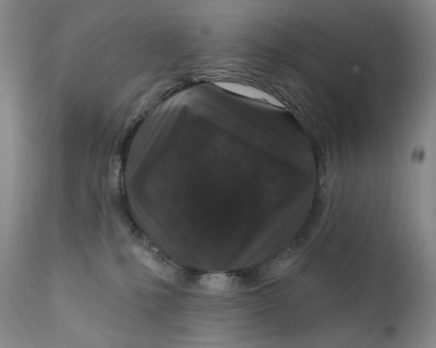 X0000110920231200907091505