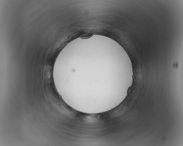 X0000110920232200907091505